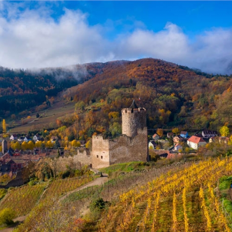 Réveillon de fin d'année en Alsace du 26 décembre 23 au 06 janvier 24