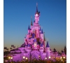 Journée à Disneyland Paris - le 30/06/2024