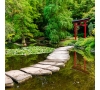 Visite guidée du  jardin japonais du Havre