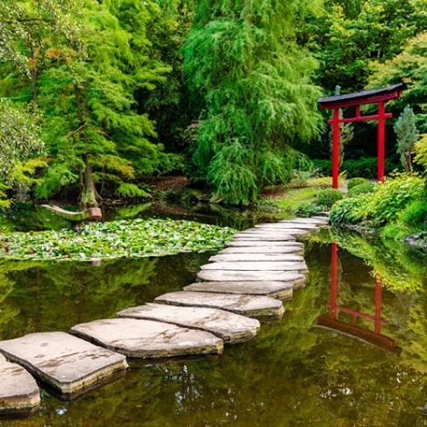 Visite guidée du  jardin japonais du Havre