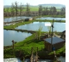 Journée pêche au Paradis aquatique à Douvrend - le 28/04/2024