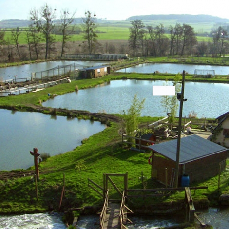 Journée pêche au Paradis aquatique à Douvrend - le 28/04/2024