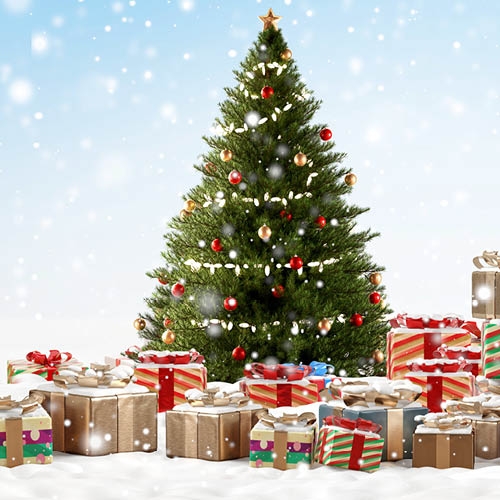 Arbre de Noël - du 7 au 21/12/2024 - CMCAS HAUTE NORMANDIE