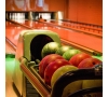 Activité bowling à Evreux le 23 mai 2024