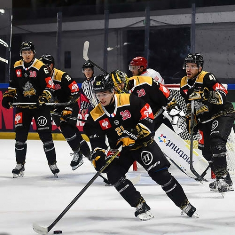 Match de Hockey sur glace "Dragons de Rouen VS Briançon" - le 8/11/2024