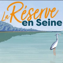 Réserve de la Seine en bateau
