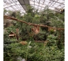 Journée à Biotropica - le 24/05/2025