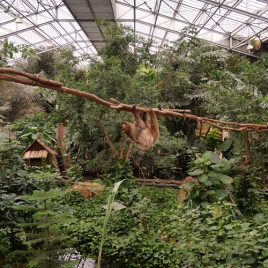 Journée à Biotropica - le 24/05/2025