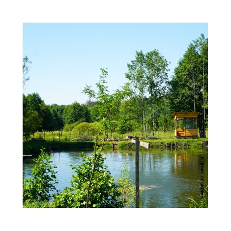 Journée pêche en étang à la Pisciculture de Pont-Authou