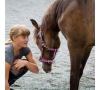 Semaine découverte au centre équestre Le Cheval Bleu - du 25 au 29/08/2025