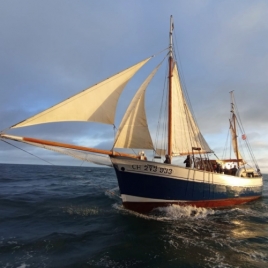 Les grandes voiles du Havre sortie en mer