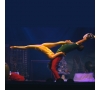 Spectacle THE CHRISTMAS SHOW