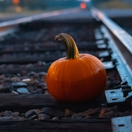 Balade dans le train de la Citrouille à Pacy sur Eure le 25 octobre 2025
