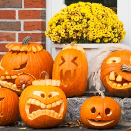 Potiron Halloween -SLV Paluel Pays de Caux 2025