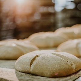 2026 Slvie LH - Atelier fabrication du Pain