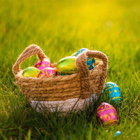 Chasse aux œufs au château de Miromesnil