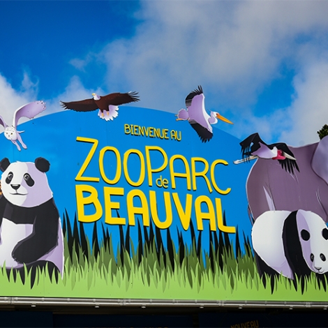 Week end au zoo de Beauval - du 12 au 13/09/2026