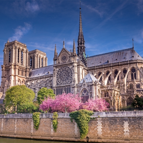 Visite de la Cathédrale "Notre Dame de Paris"