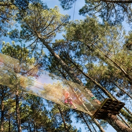 Activité accrobranche à Brosville  le 21 juin 2026