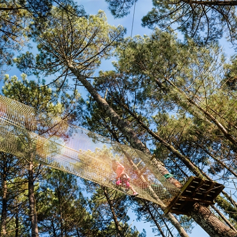 Activité accrobranche à Brosville  le 21 juin 2026