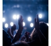 Concert de DUB INC + DANAKIL