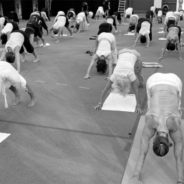 2026 Section Gym Rouen - Cotisation Annuelle