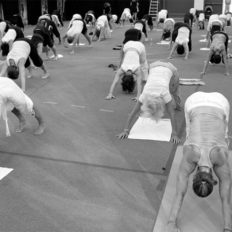 2026 Section Gym Rouen - Cotisation Annuelle