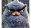 séance cinéma Angry Birds 3 - SLV Paluel 2026