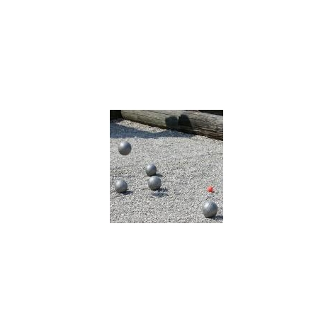 Journée pétanque à Saint Aubin le Vertueux 18/06/2022