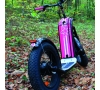 Balade en trottinette électrique avec visite d'une brasserie et dégustation de bières - 22/05/2022