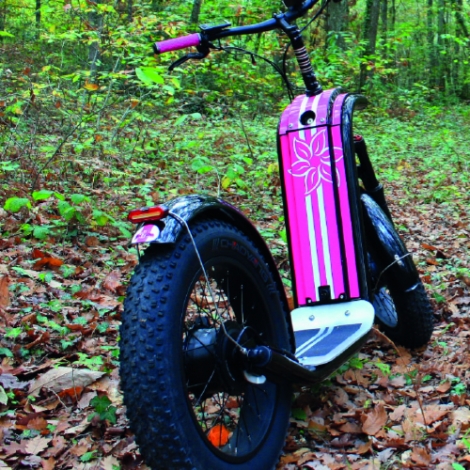 Balade en trottinette électrique avec visite d'une brasserie et dégustation de bières - 22/05/2022