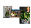Atelier floral de Printemps