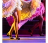 Spectacle "La revue de la Sirène" du vendredi 14 octobre 2022
